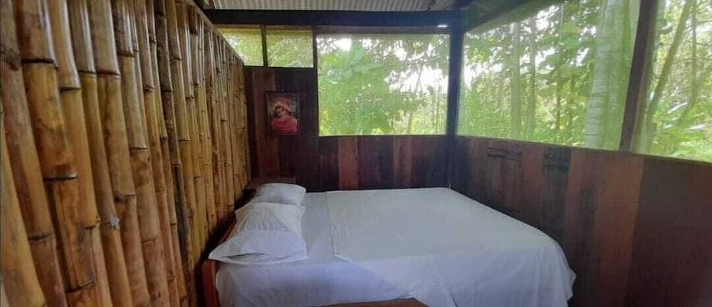 Centro espiritual luz del amazonas