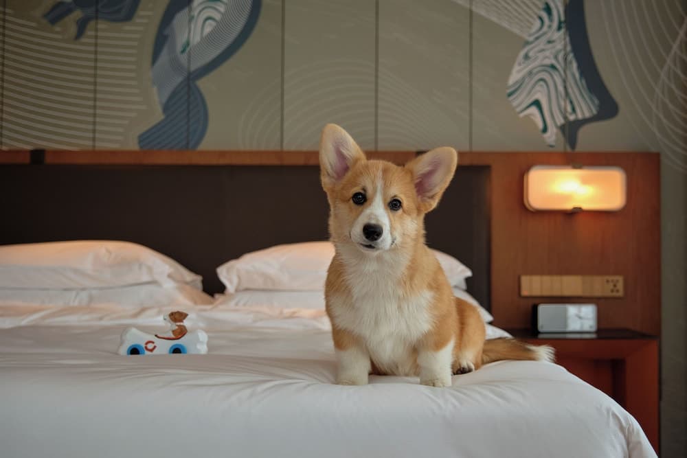 Hyatt Centric Gaoxin Xi'an