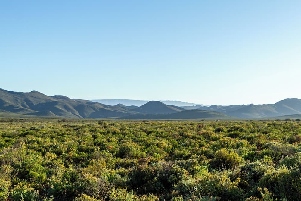 Dış mekân detayı
