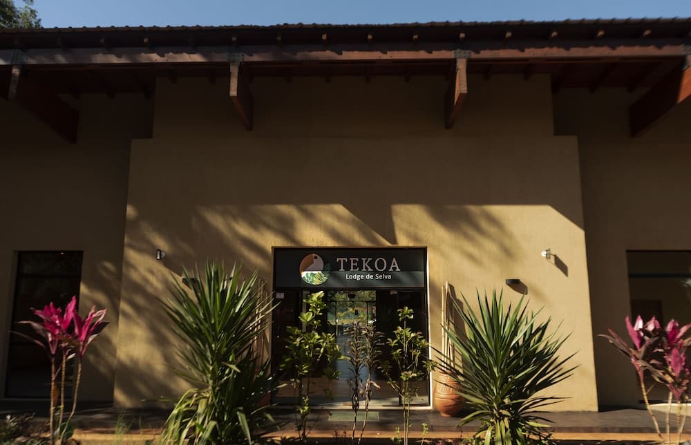 Tekoa Lodge de Selva