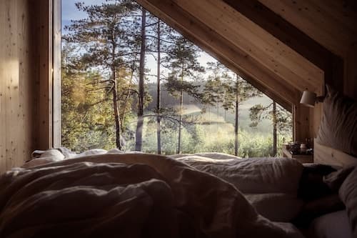 Hilltop Forest