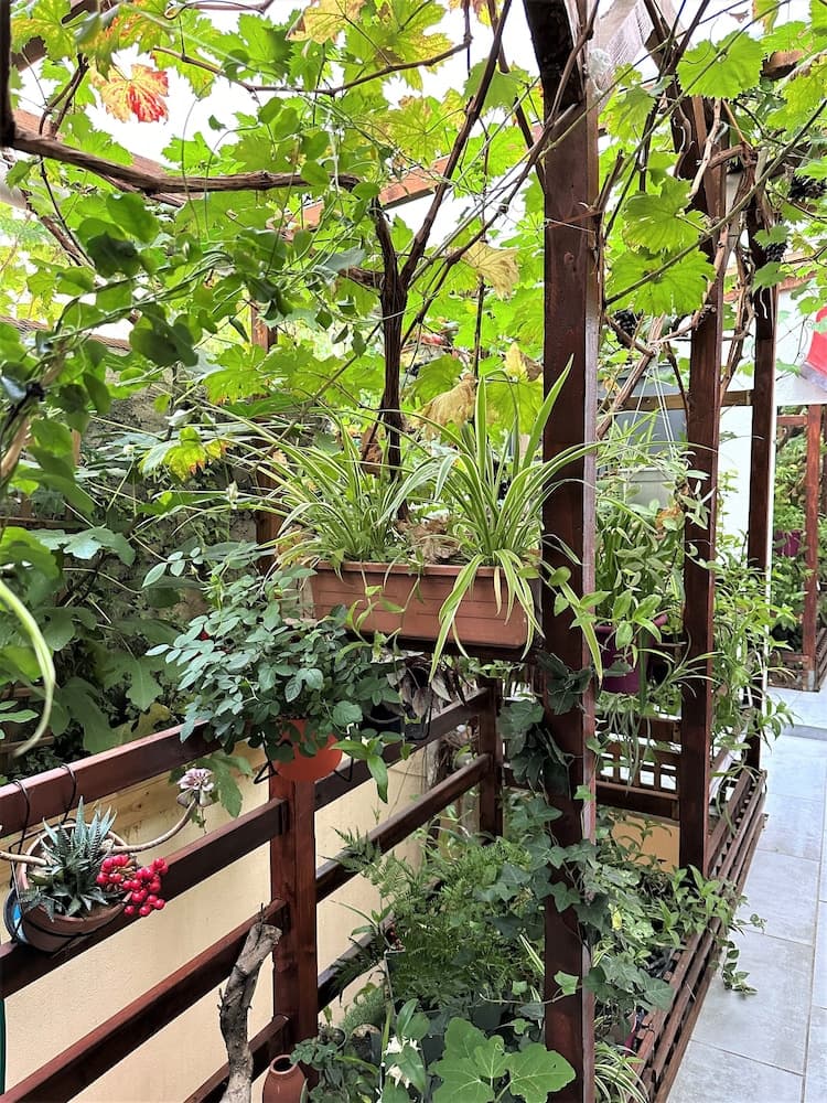 L'Oasis Montparnasse