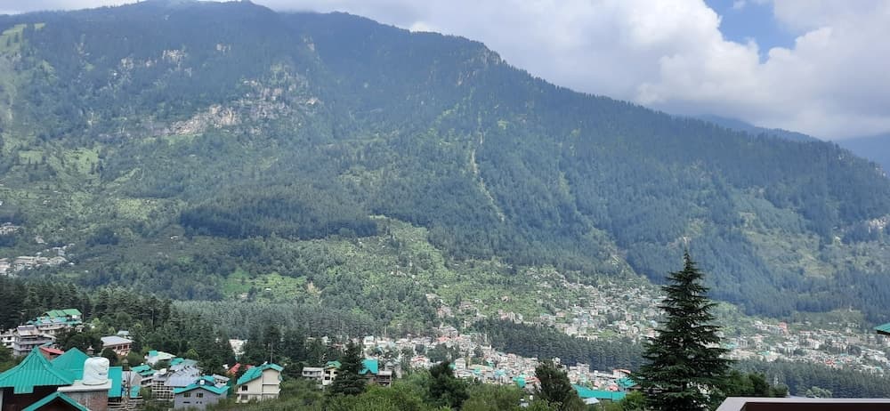 Mastiff Xanadu Manali