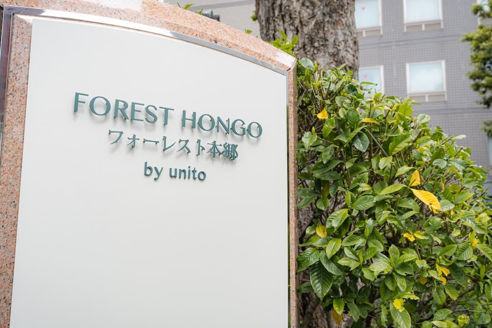 FOREST HONGO BY UNITO