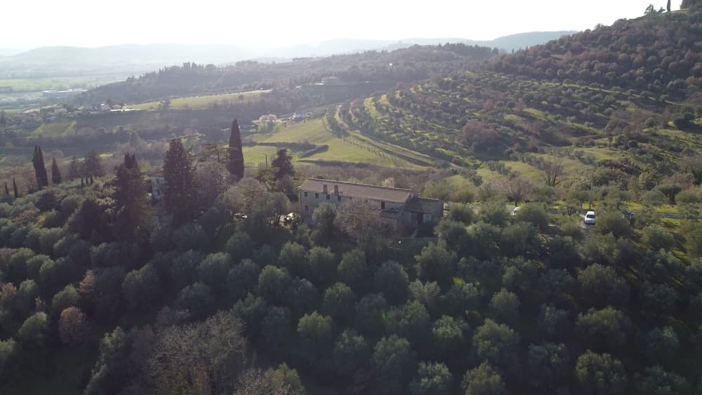 Il Mulino delle Canutole
