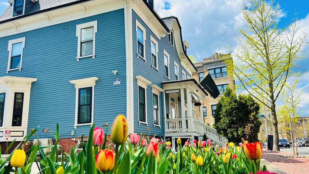 Ginkgo House on Harvard