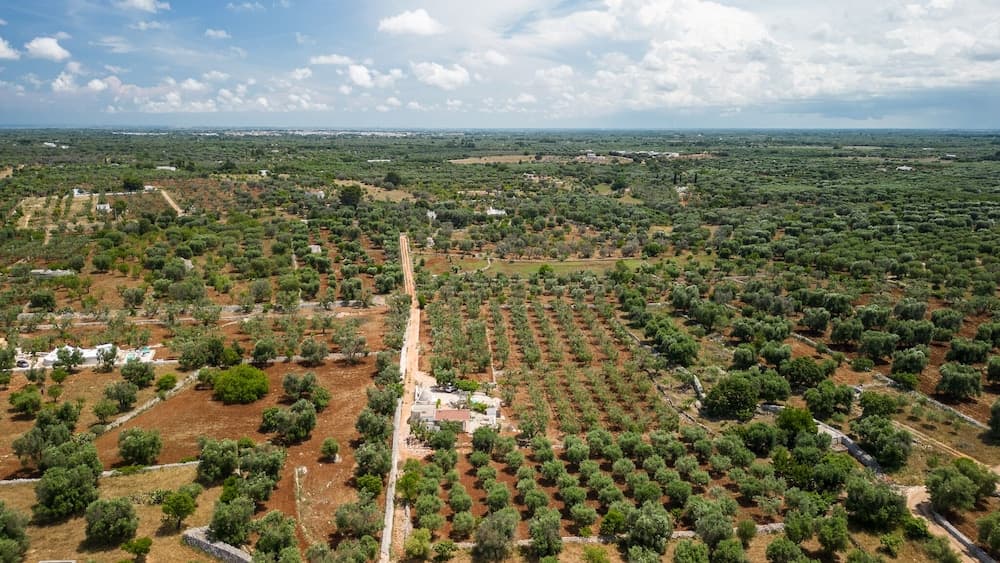Trullo Solleone by Wonderful Italy