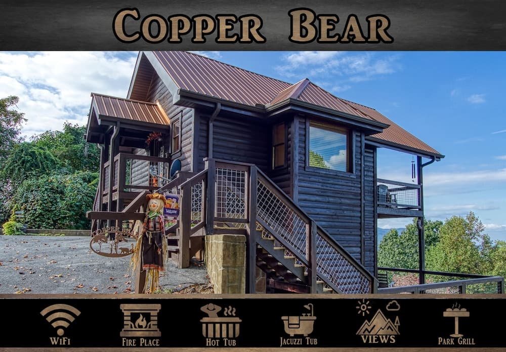 Copper Bear