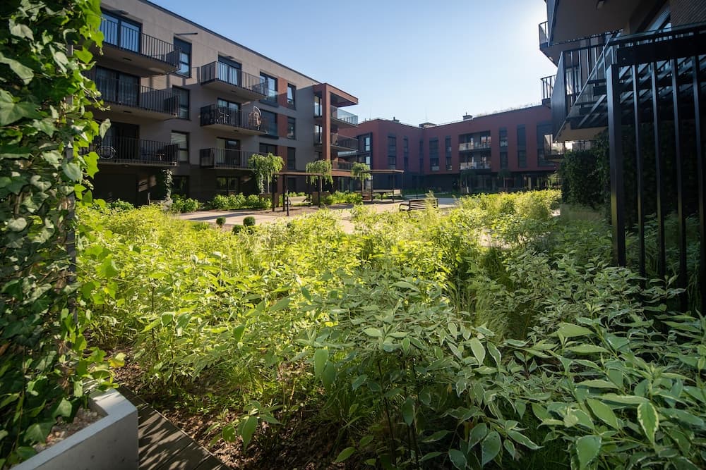 Maya's 17 - Nadmotławie