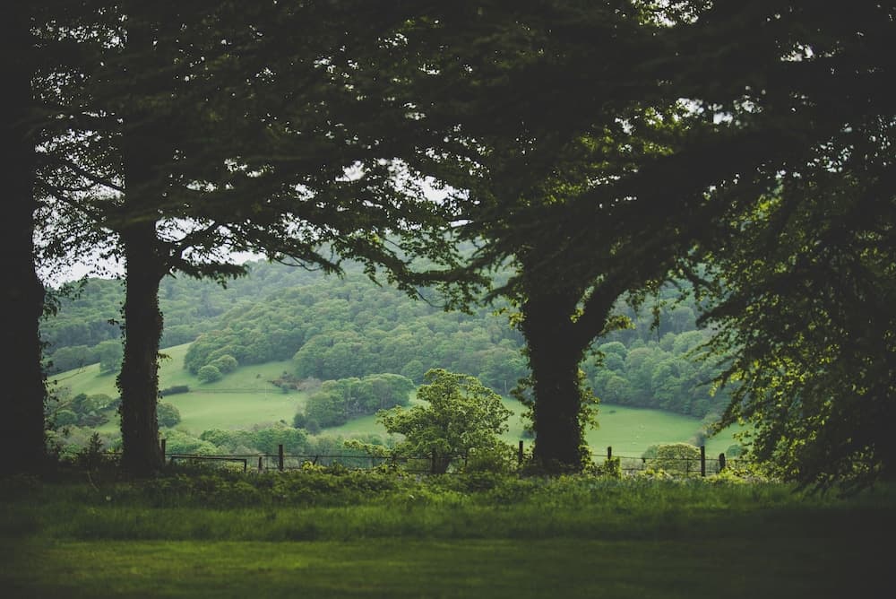 Konaklama yerinin ön cephesi