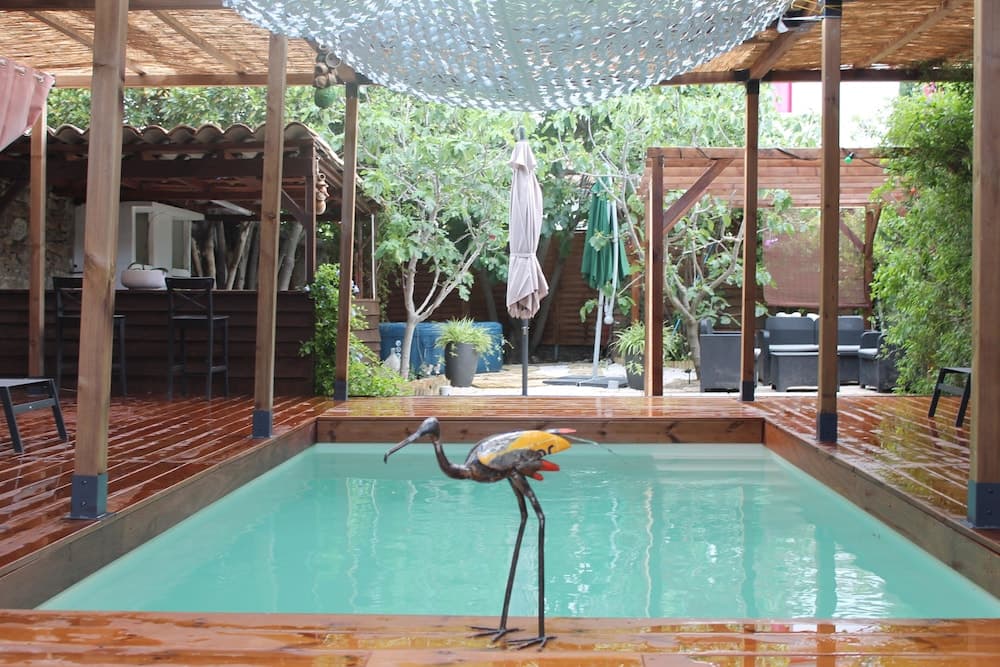 Les 2 Droles d'Oiseaux