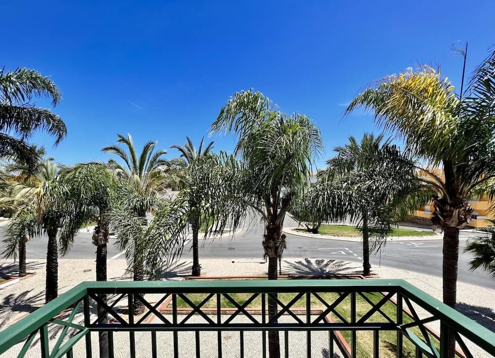 Tavira Palm Tree by Homing