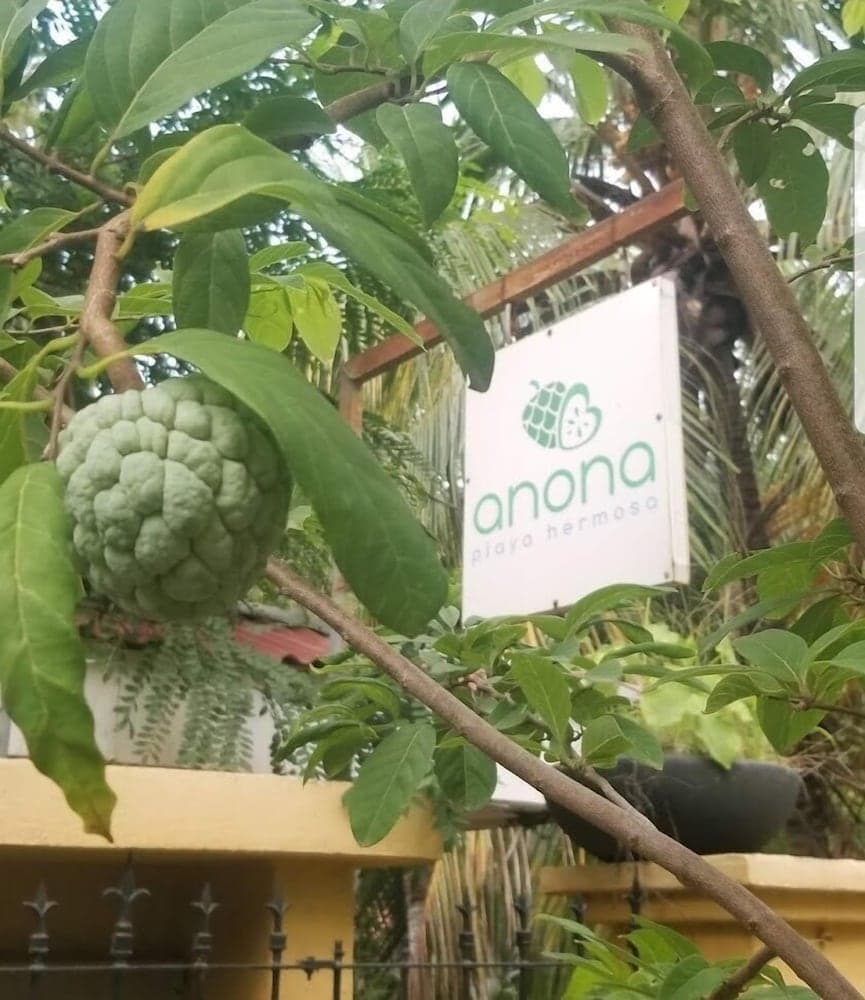 Konaklama yerinin ön cephesi