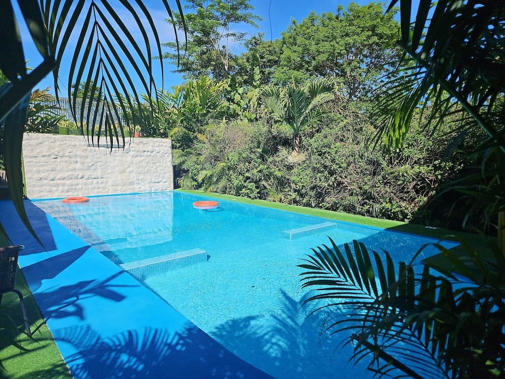 Hotel Ballena REY