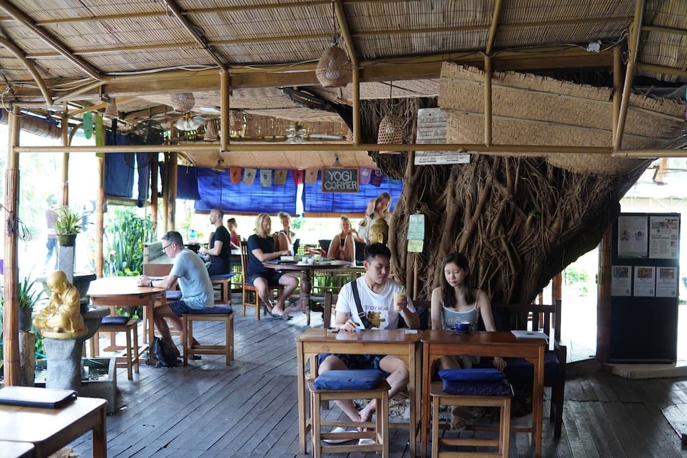 Serenity Eco Guesthouse and Yoga