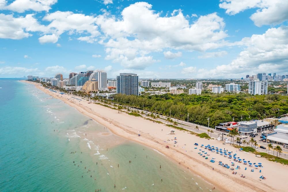 Purple Pelican by Opus (Suite 2)