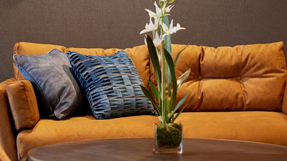 Lobi dinlenme salonu