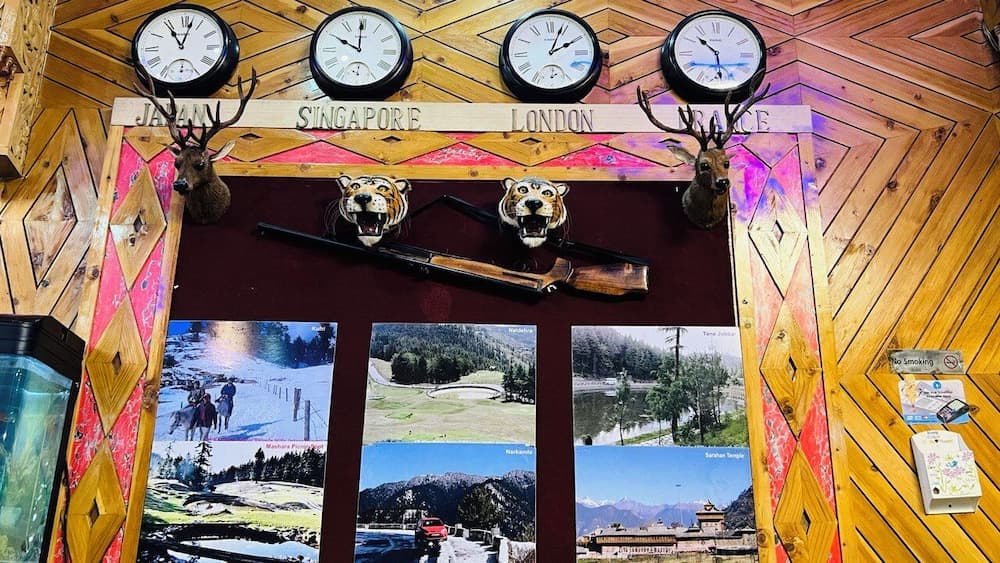 Hotel shimla hills international