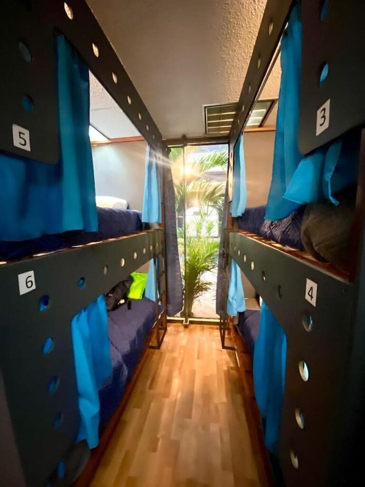 Oda