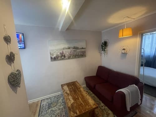 Comfy and Lovely 1-bed Apartment in London
