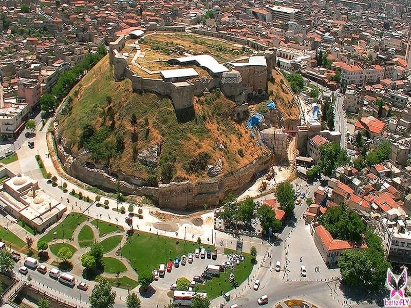 Genel Görünüm