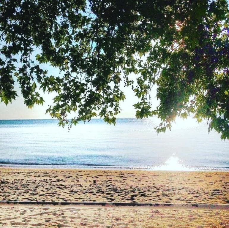 Adasu Otel Marmara Adası