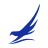 Airline Logo