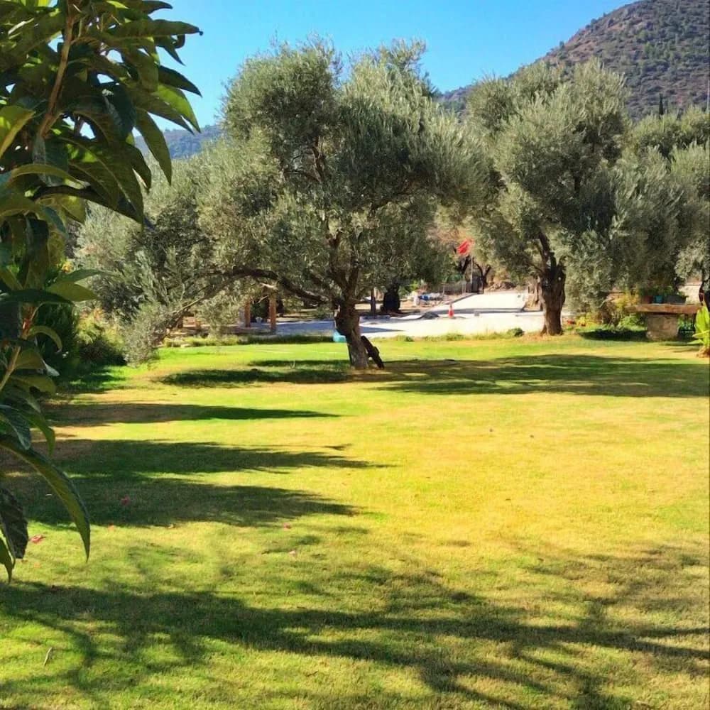 Dış mekân
