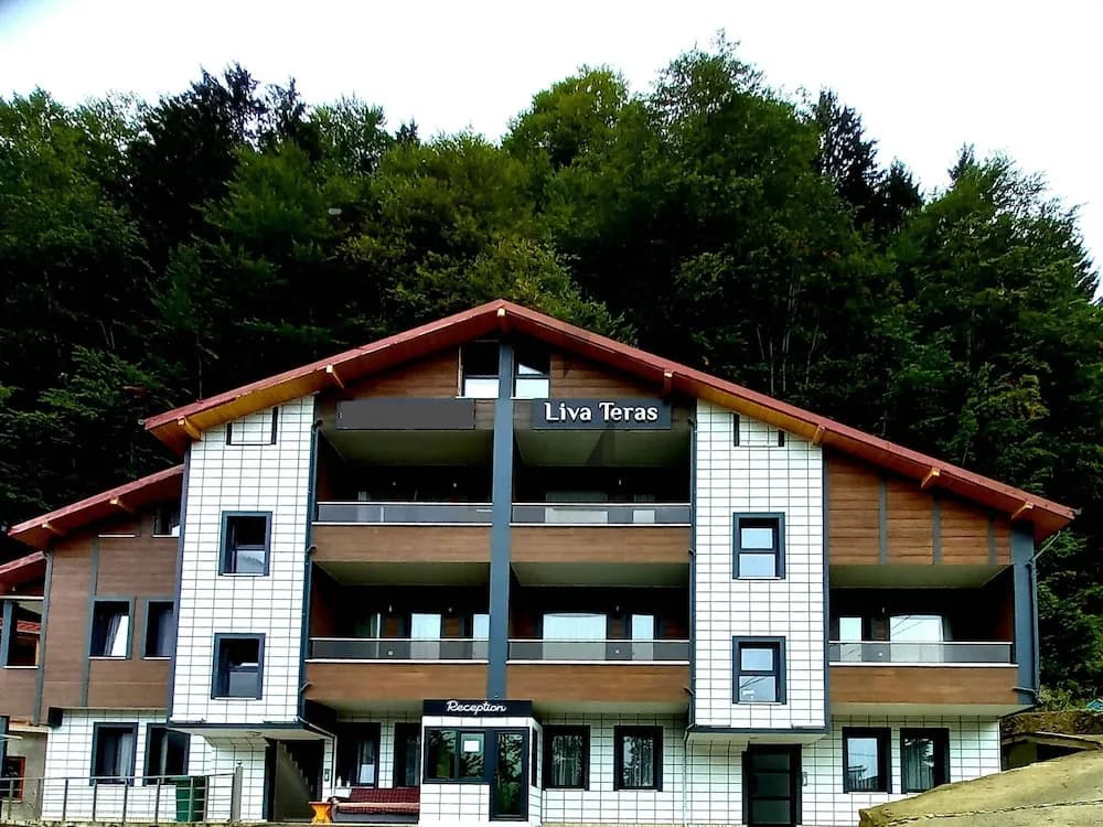 Liva Teras