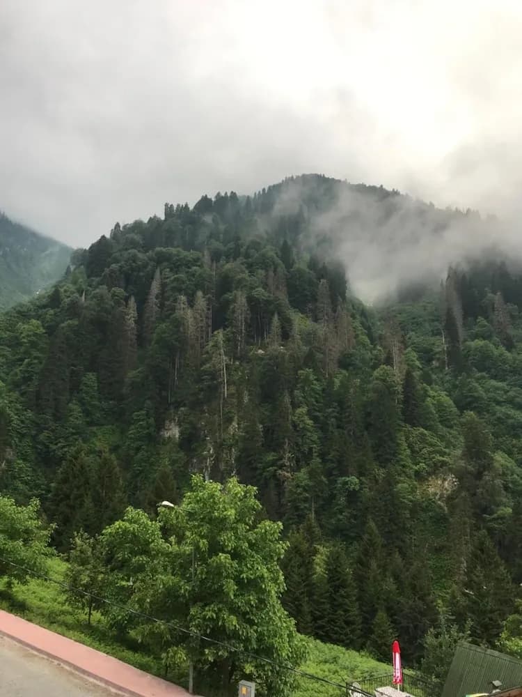 Diğer