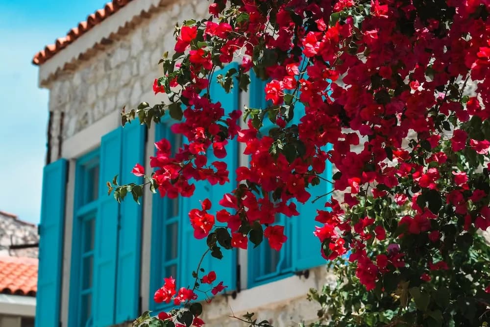 Casa Alegre Alaçatı