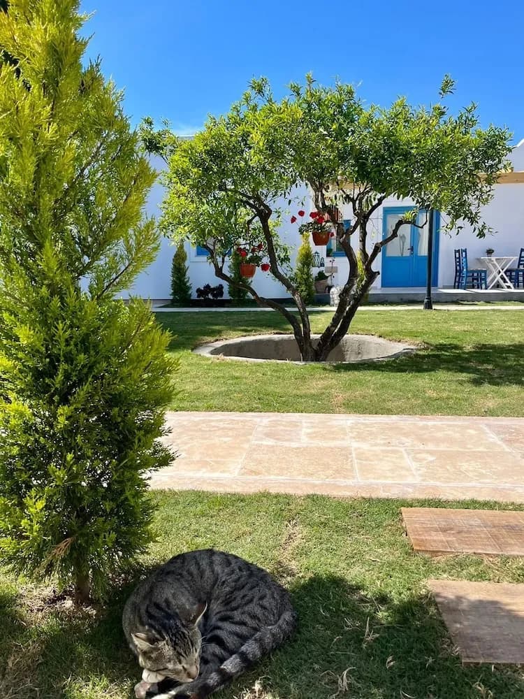Konaklama yerinin ön cephesi