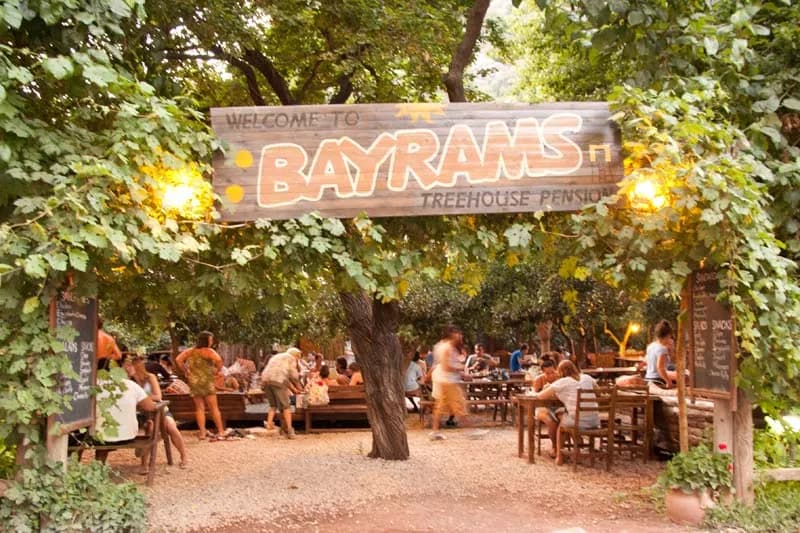 Bayrams Tree Houses