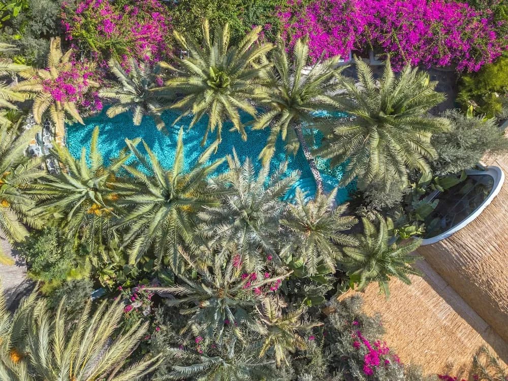 Flamingo Hotel & Spa - Pet Friendly