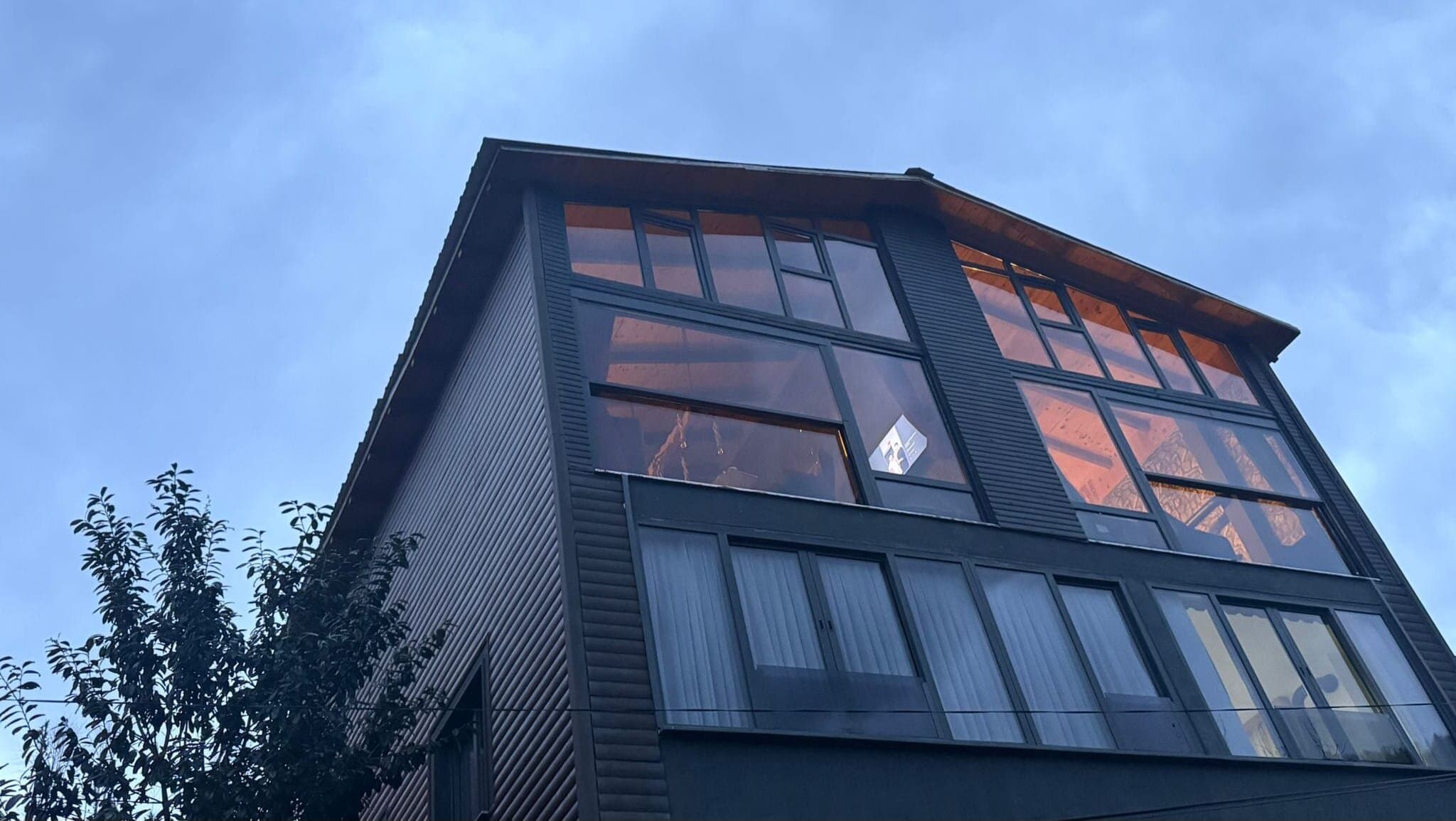 Bucci Suit