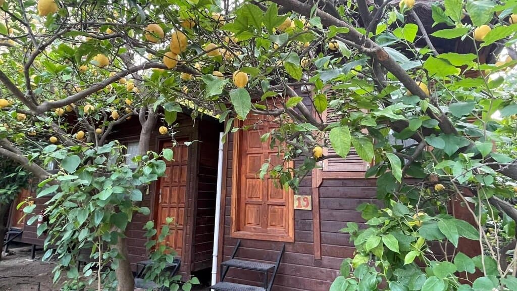 Olympos Varuna Pansiyon
