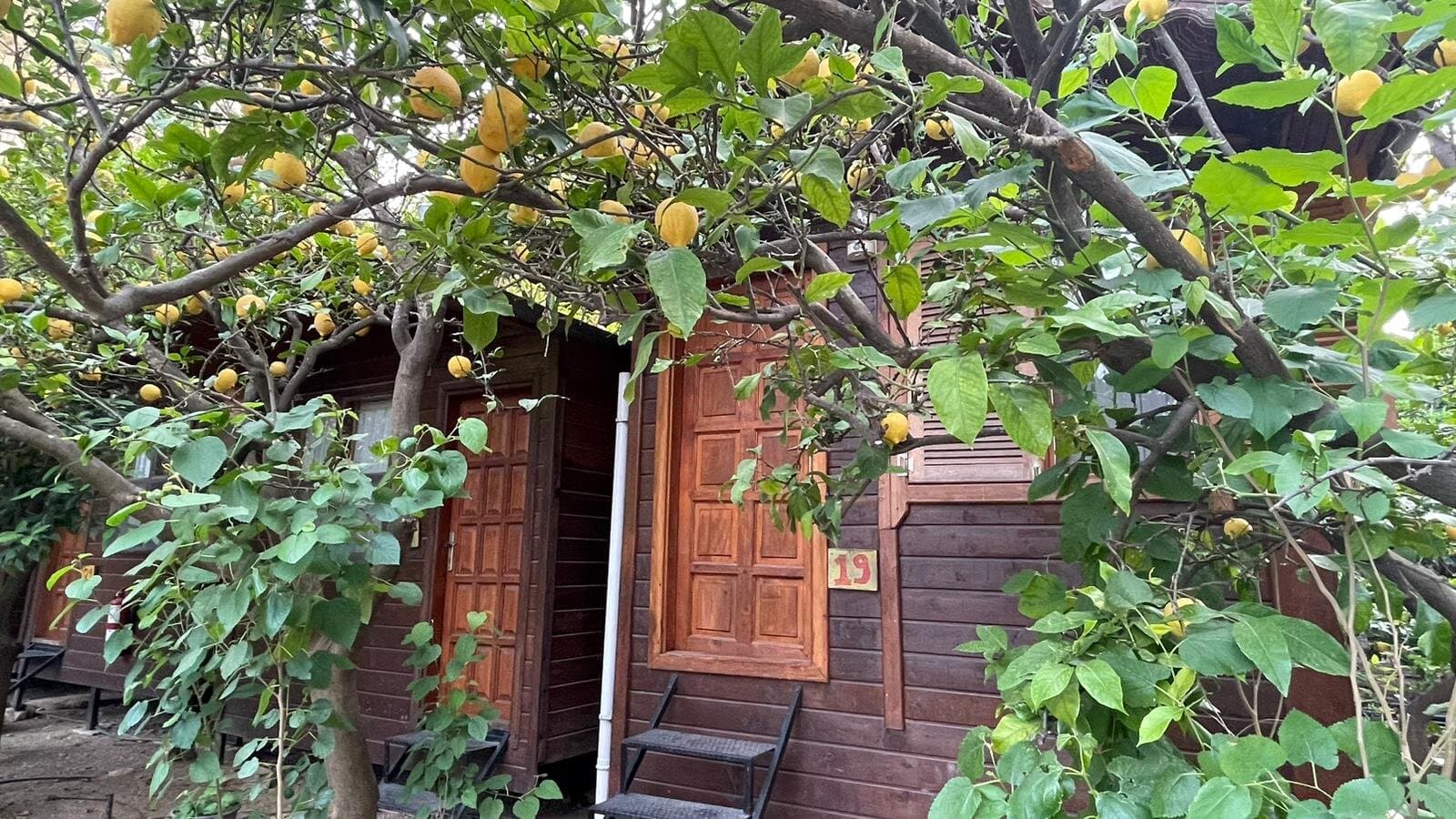 Olympos Varuna Pansiyon