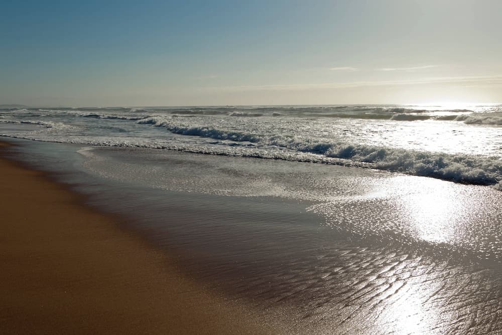 Protea Hotel by Marriott Karridene Beach