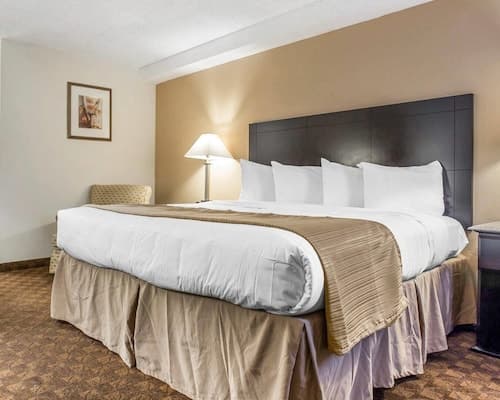 Quality Inn & Suites Coliseum