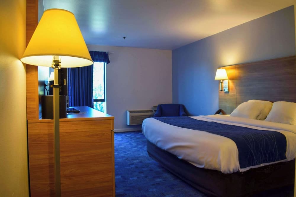 Comfort Inn Bellingham