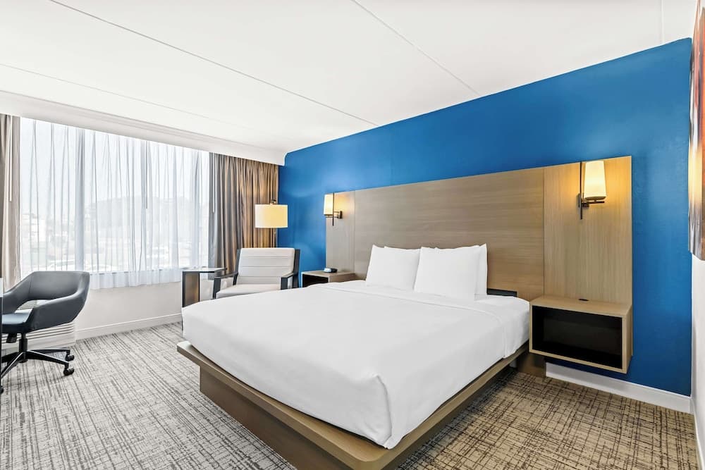 Best Western Plus Lower South End