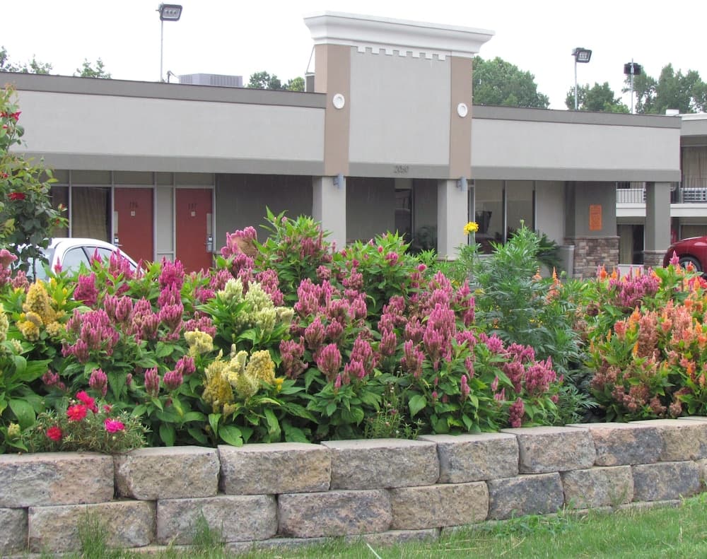 Red Carpet Inn