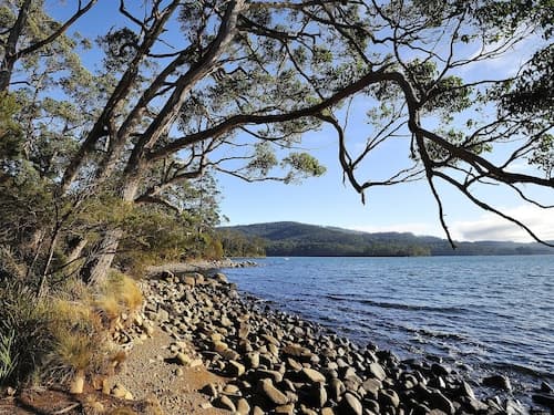 NRMA Port Arthur Holiday Park