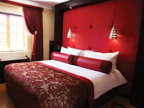 Cycad Guest House