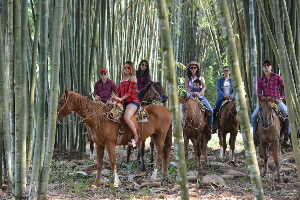 Rancho El Paraiso de Ayotoxco