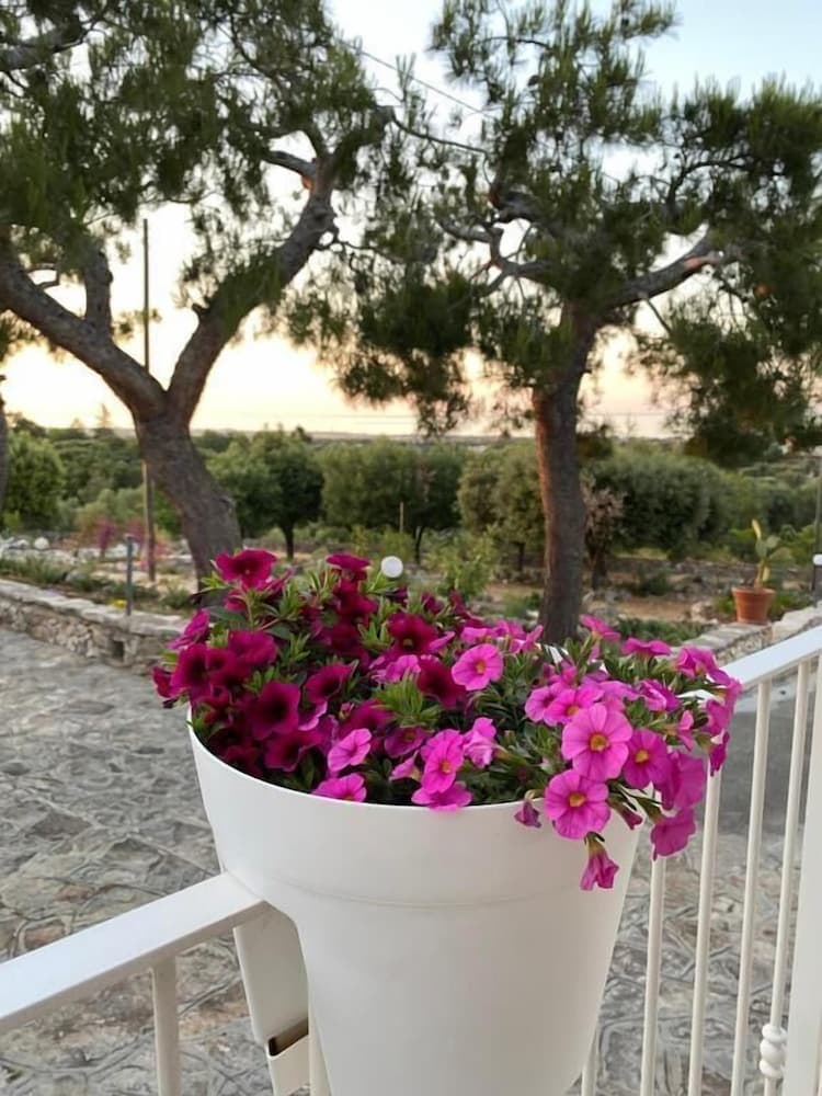 Monte Simeone B&B
