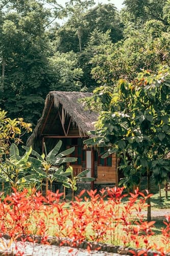 Magic Greeen Tayrona