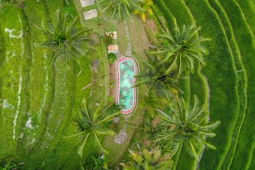 Pesona Bali Ecolodge