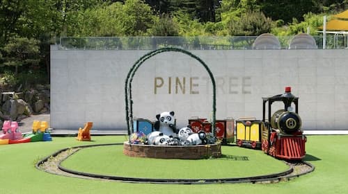 Gapyeong Pinetree Kids Pool Villa