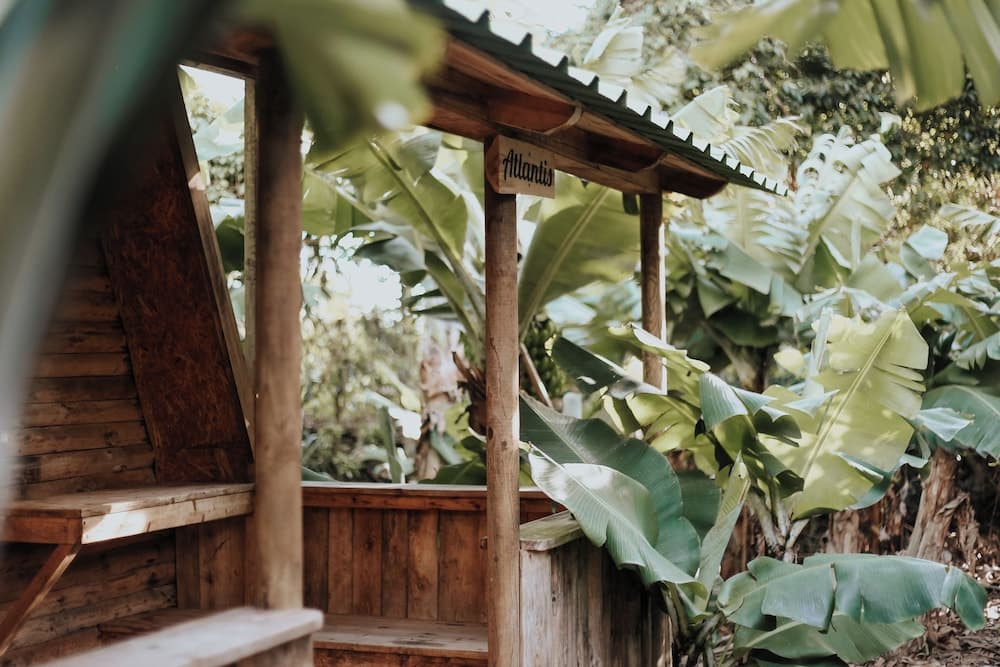 Banana Eco Camp